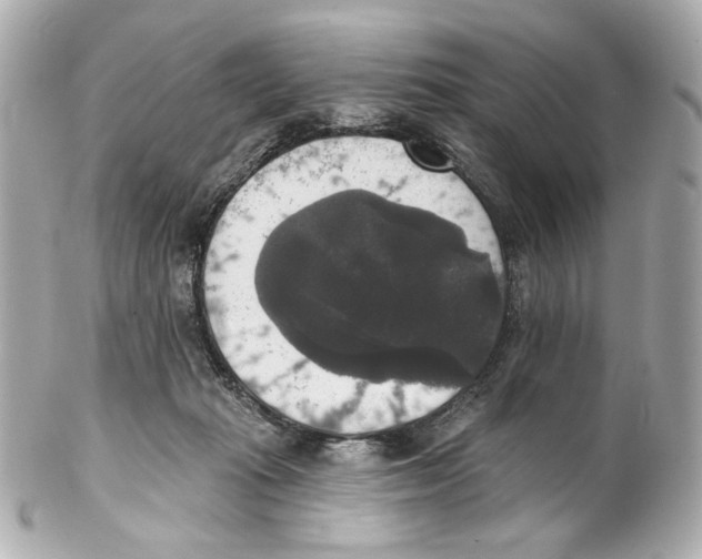 X0000102040269200808151413