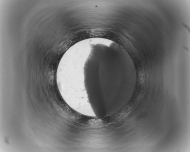X0000102040271200808151413