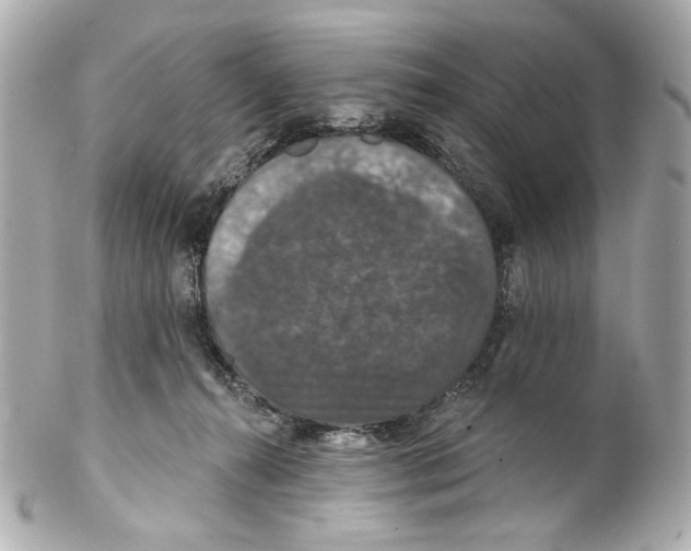 X0000102040272200808151413