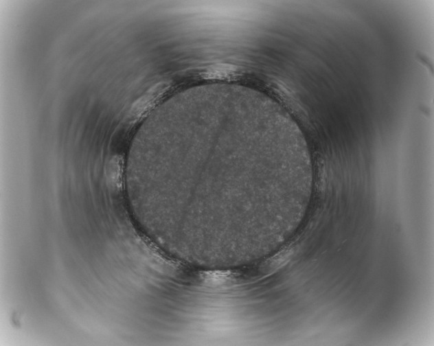 X0000102040273200808151413