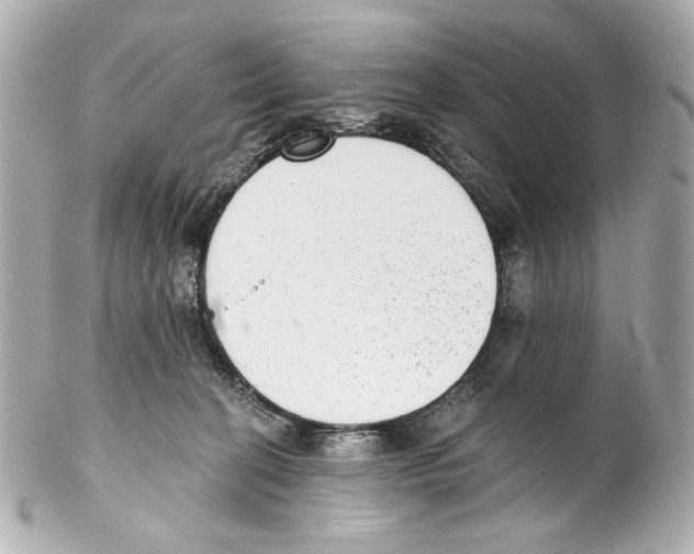X0000102040274200808151413