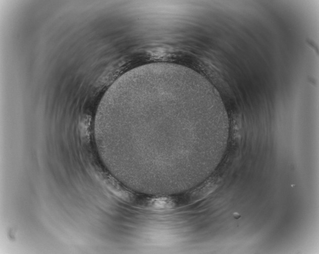 X0000102040275200808151413