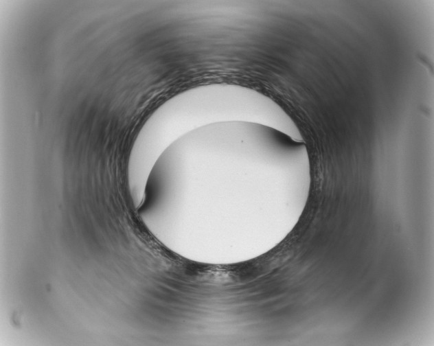 X0000102040276200808151413