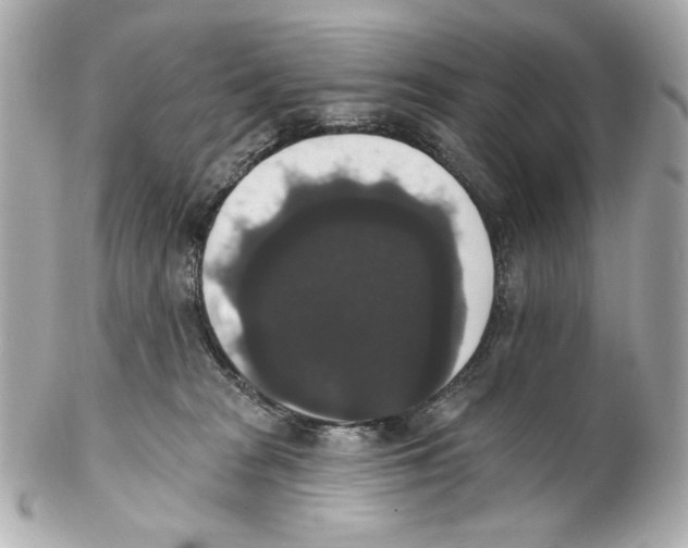 X0000102040277200808151413