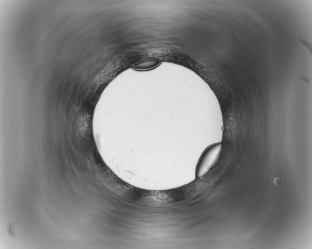 X0000102040278200808151413