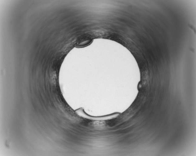 X0000102040279200808151413