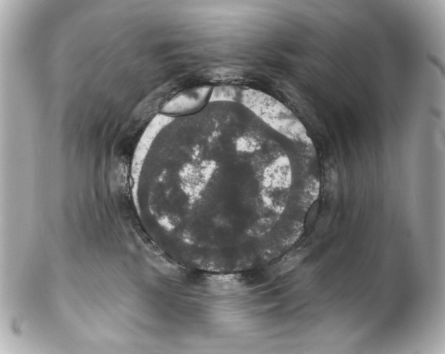 X0000102040281200808151413