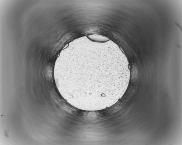 X0000102040282200808151413