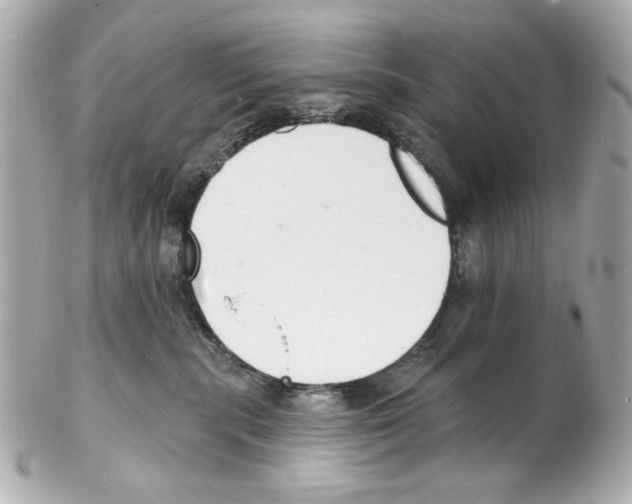 X0000102040283200808151413