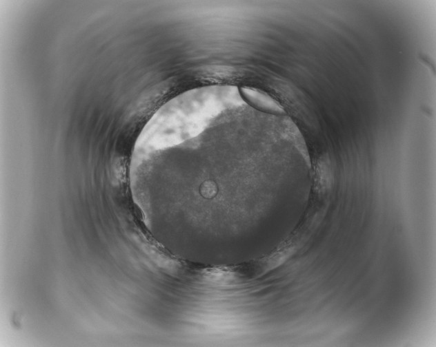 X0000102040284200808151413