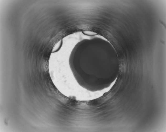 X0000102040285200808151413