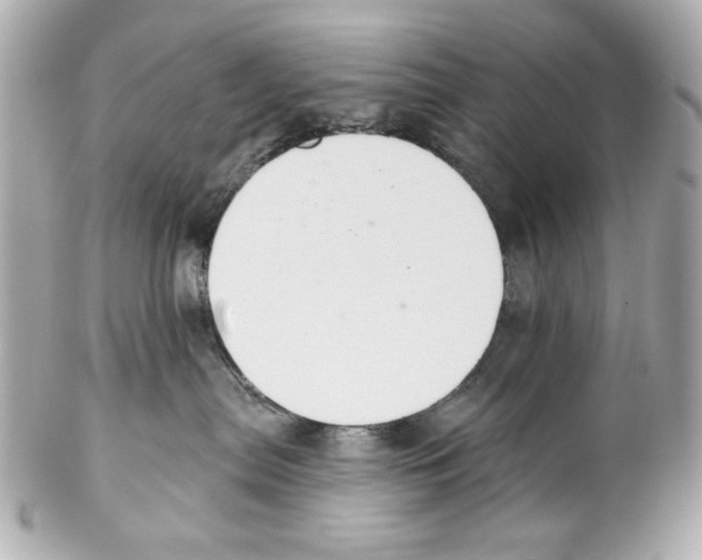 X0000102040287200808151413