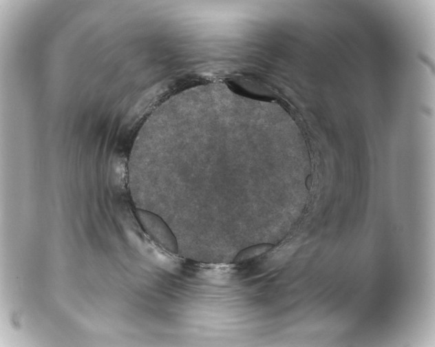 X0000102040288200808151413