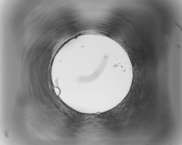 X0000102040289200808151413