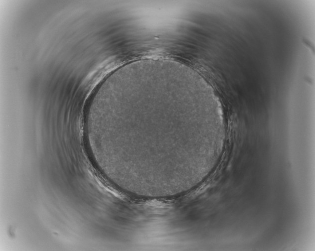 X0000102040290200808151413