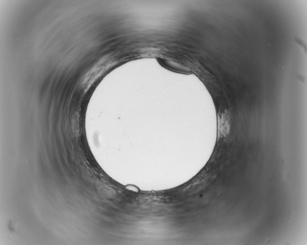 X0000102040291200808151413