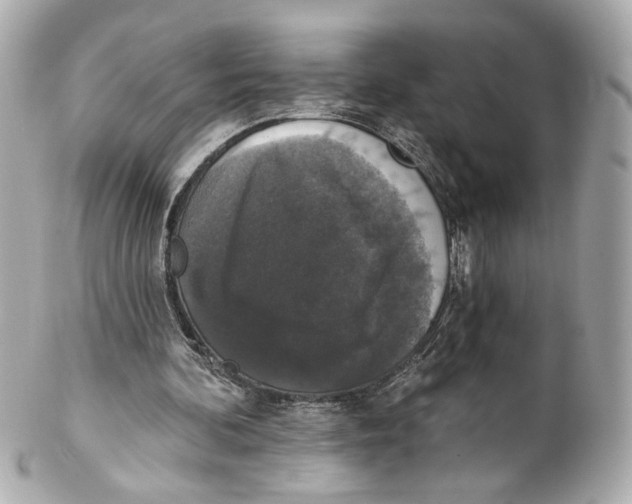 X0000102040292200808151413