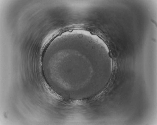 X0000102040293200808151413