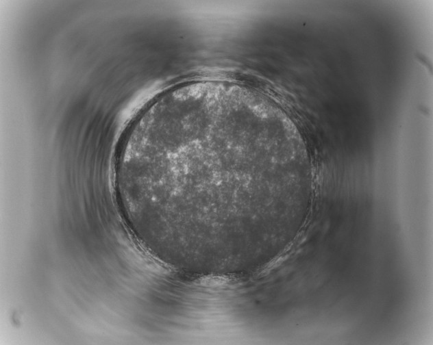 X0000102040294200808151413