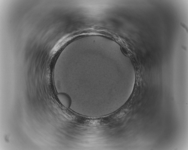 X0000102040295200808151413