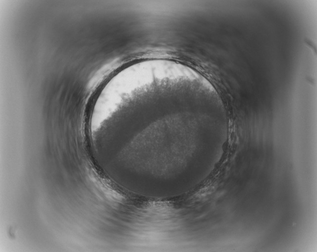 X0000102040296200808151413
