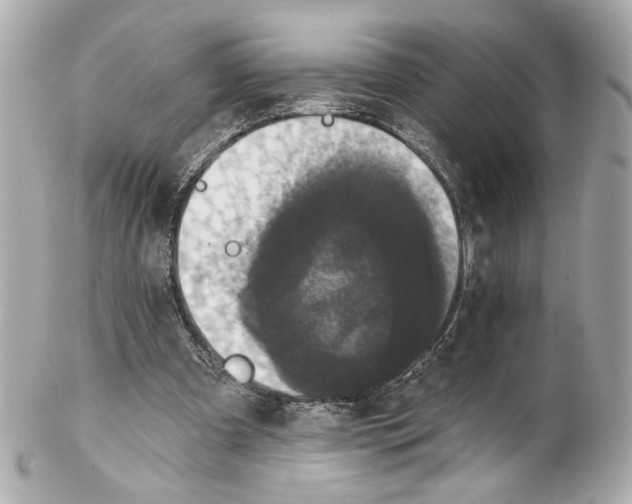 X0000102040297200808151413