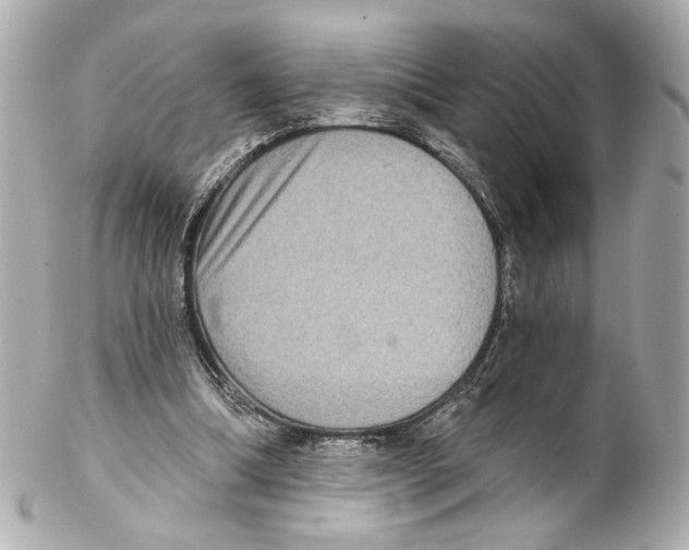 X0000102040298200808151413