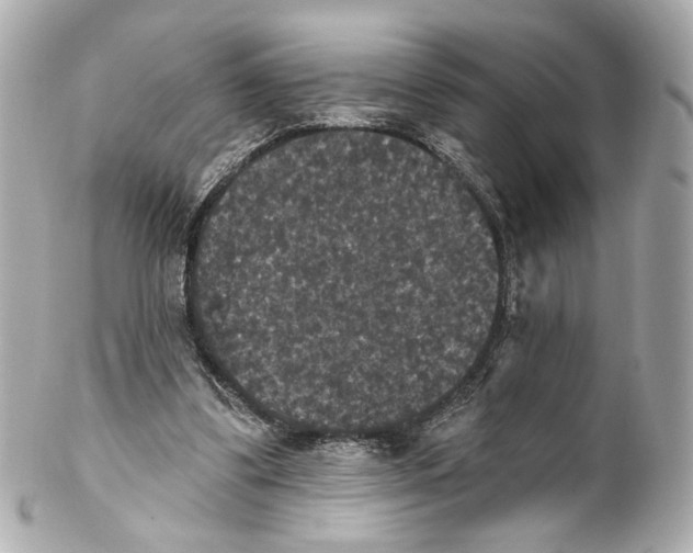 X0000102040299200808151413