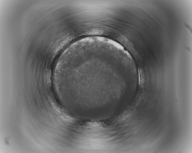 X0000102040300200808151413