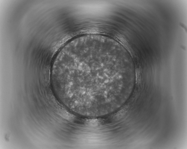 X0000102040301200808151413