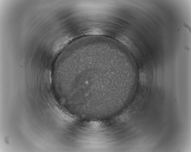 X0000102040302200808151413