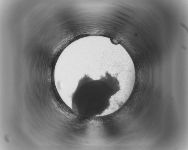 X0000102040303200808151413