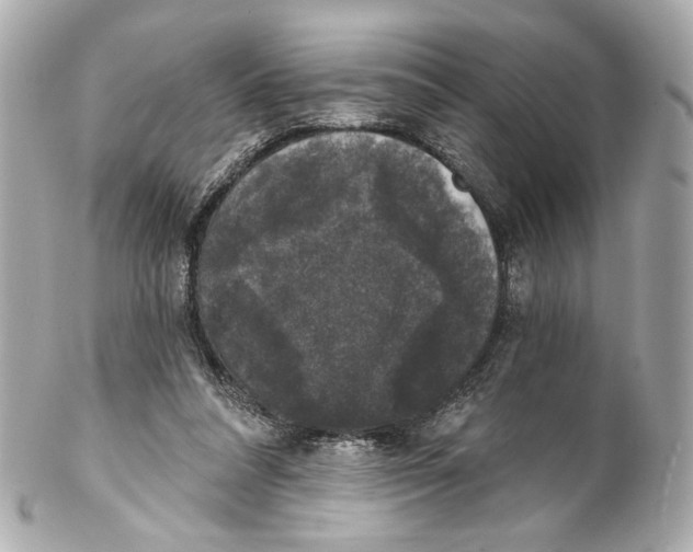 X0000102040304200808151413