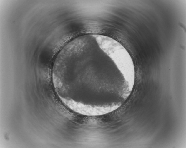 X0000102040305200808151413