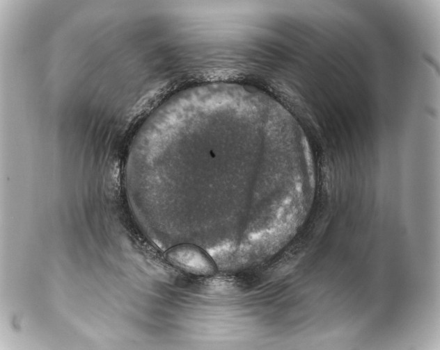 X0000102040308200808151413