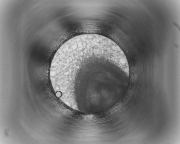 X0000102040309200808151412