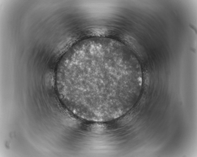 X0000102040313200808151412