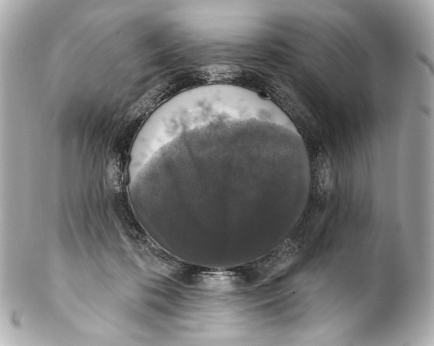 X0000102040316200808151412