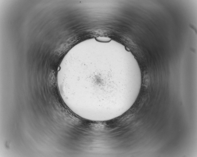 X0000102040318200808151412