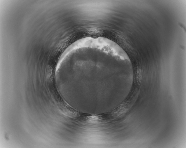 X0000102040320200808151412