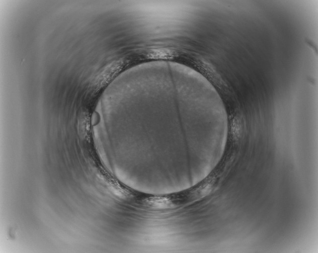 X0000102040322200808151412