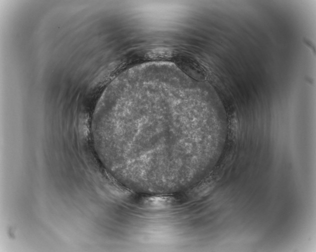 X0000102040323200808151412