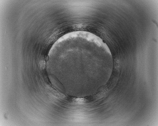 X0000102040324200808151412