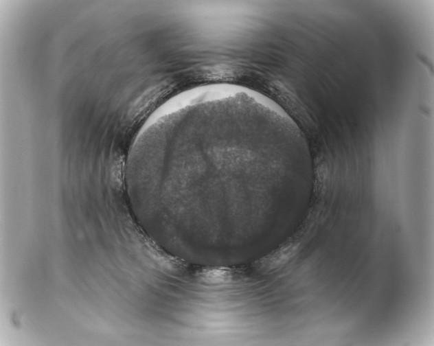 X0000102040325200808151412