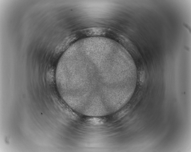 X0000102040326200808151412