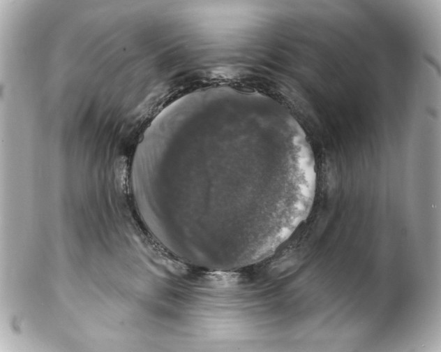 X0000102040328200808151412