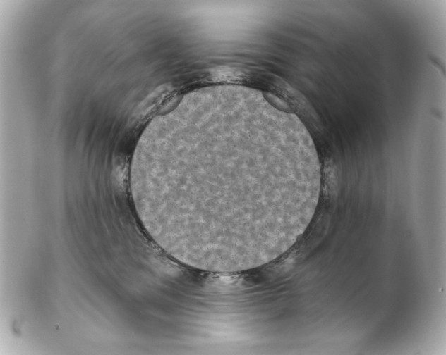 X0000102040329200808151412