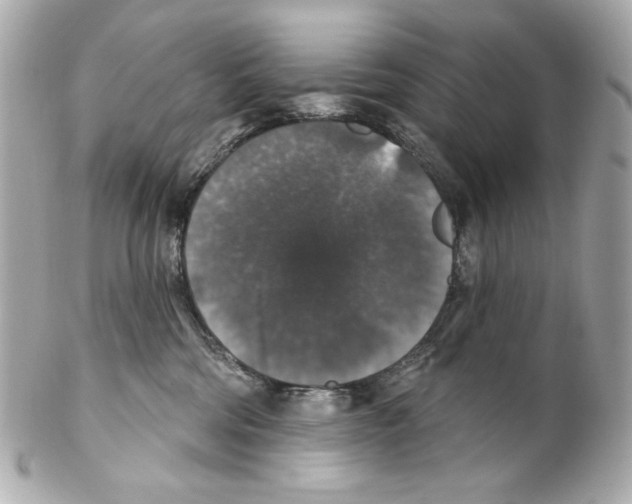 X0000102040330200808151412