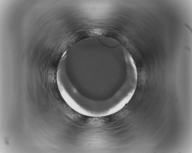 X0000102040331200808151412