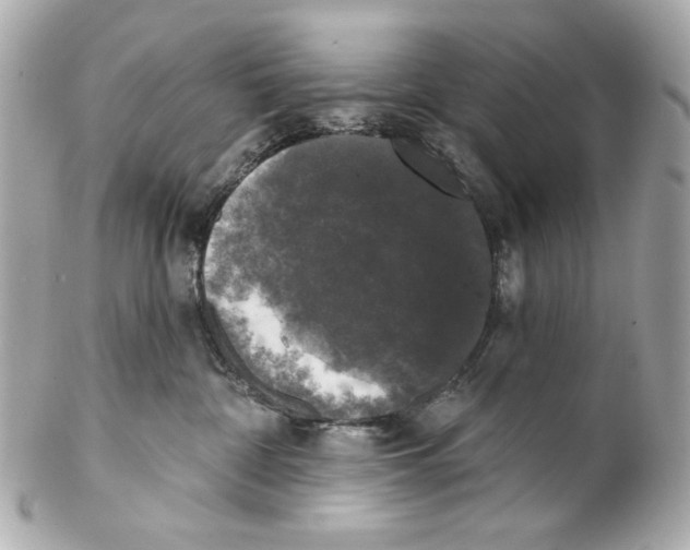 X0000102040332200808151412